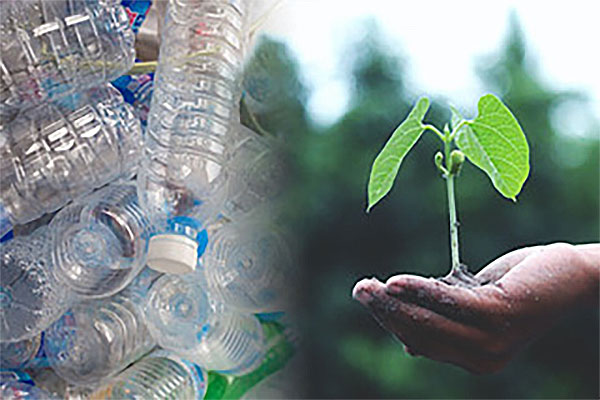 Biodegradable packaging