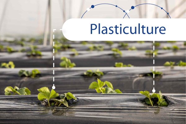 Plasticulture